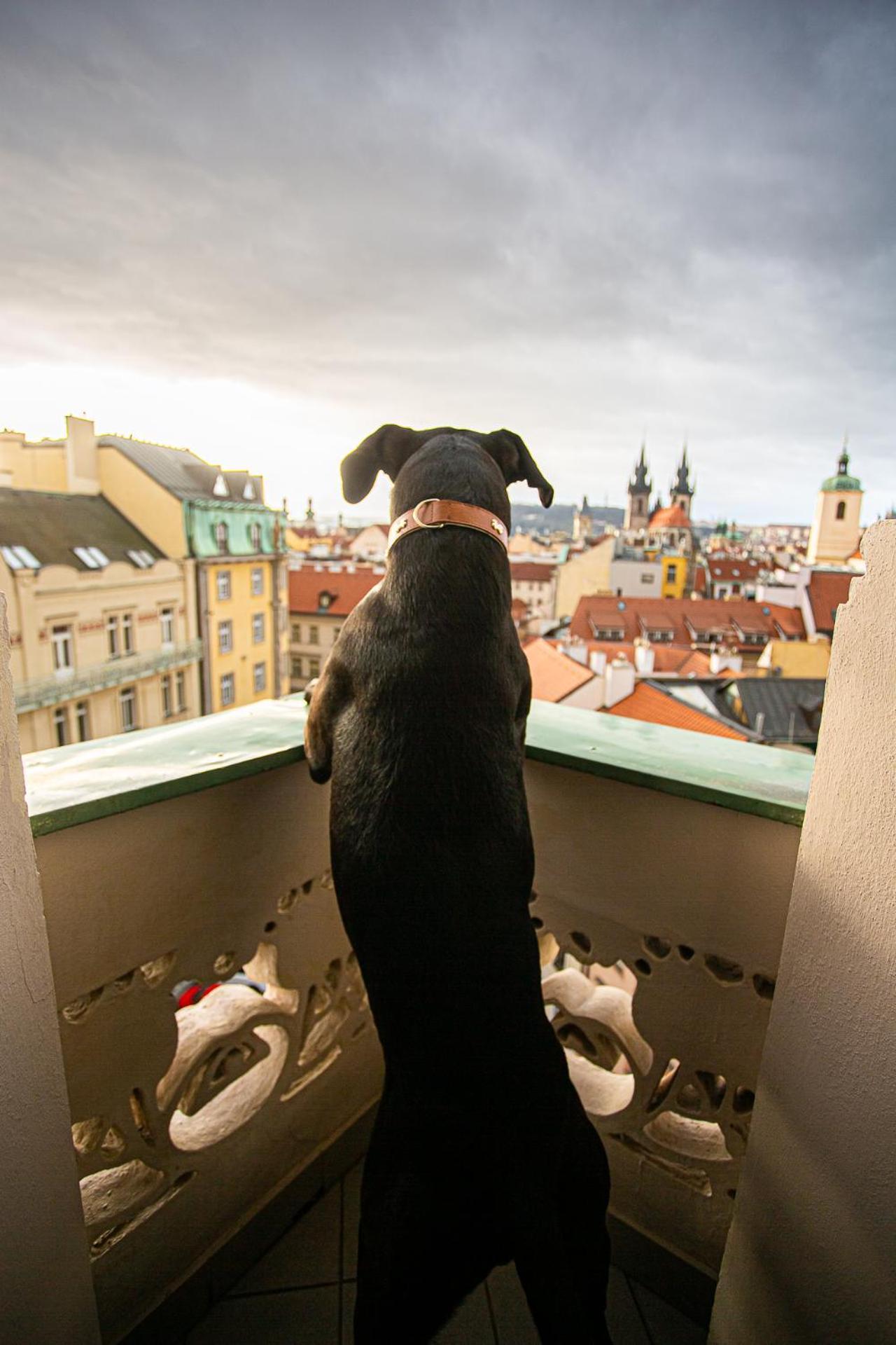 Hotel Paris Praga